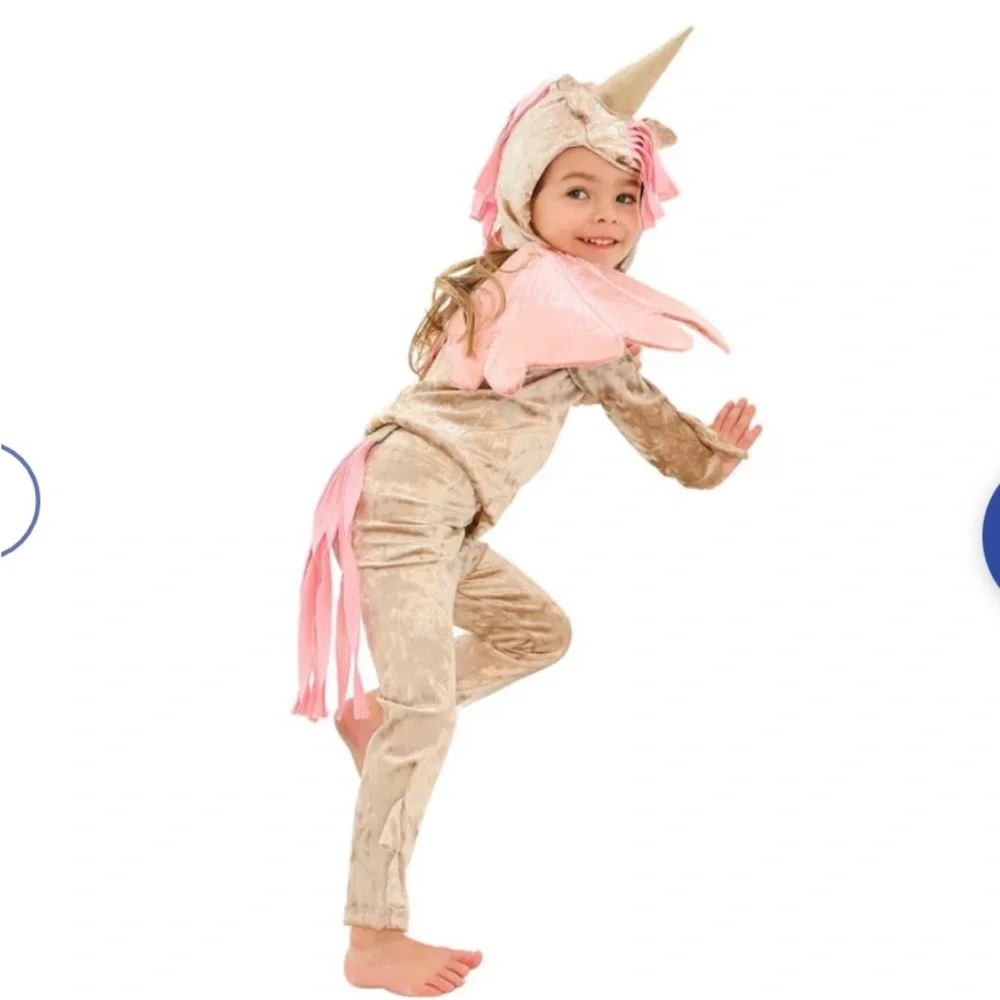 Band of wild unicorn costume